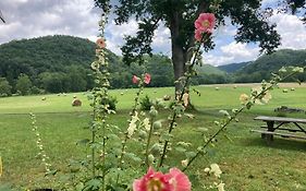 Gorgeous Cabin Stay Near I-77, Views, Antiques, Wi-Fi, Wonderful Experience For 2!